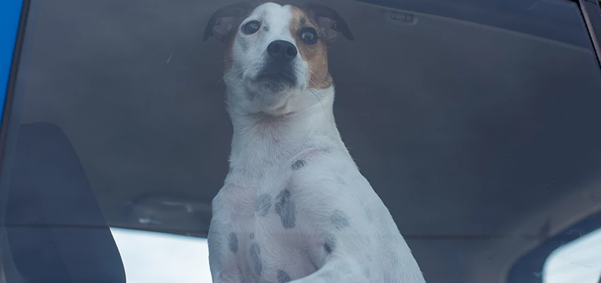 Car Lockout Solutions in Hemet, California